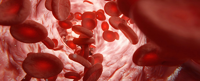 red blood cells in a light pink tube